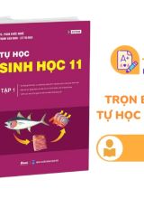 Trọn bộ Tự Học Sinh Học 11 Moon PDF